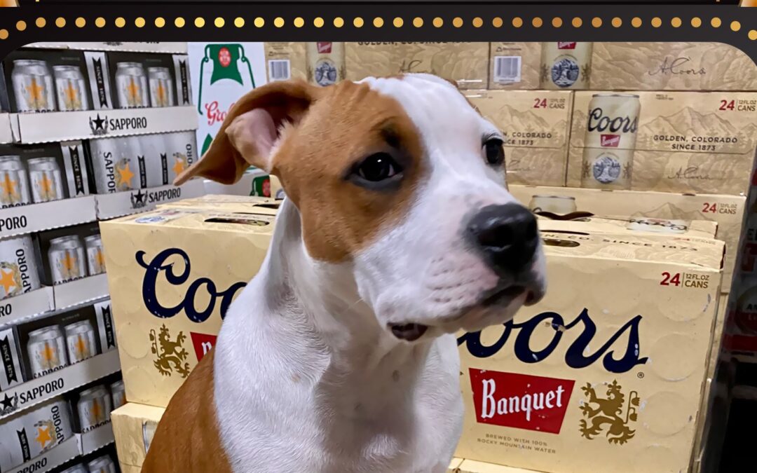 Employee of the Month – January 2025